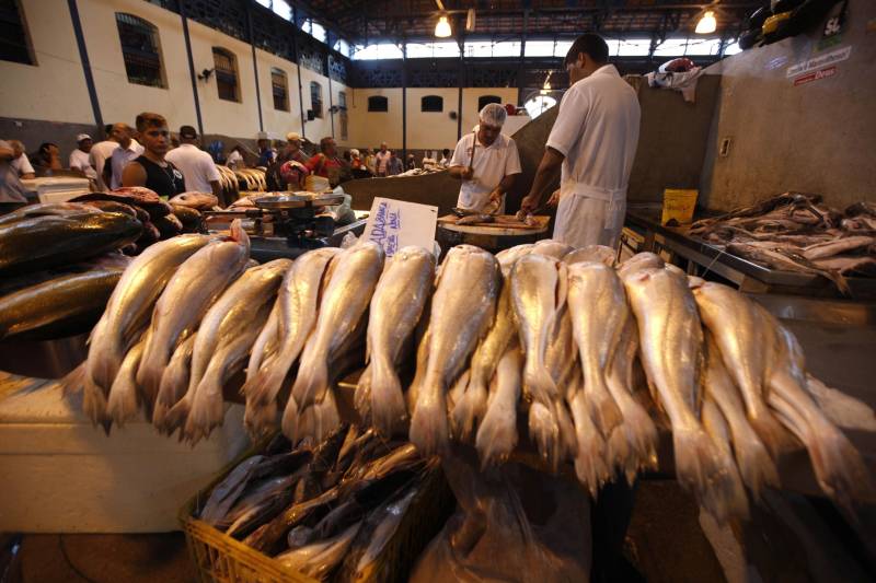 A proibição da saída do pescado durante a Semana Santa já vem sendo posta em prática há mais de duas décadas, mas, ao longo dos últimos anos, vem perdendo cada vez mais a eficácia. Na fato, pescado na feira do Ver-o-Peso.
FOTO: RODOLFO OLIVEIRA / ARQUIVO AG. PARÁ
DATA: 07.03.2018
BELÉM - PARÁ <div class='credito_fotos'>Foto: Rodolfo Oliveira/Ag. Pará | <a href='/midias/2018/originais/07f6d24b-0498-463a-9b2c-6393d1a8ebce.jpg' download><i class='fa-solid fa-download'></i> Download</a></div>