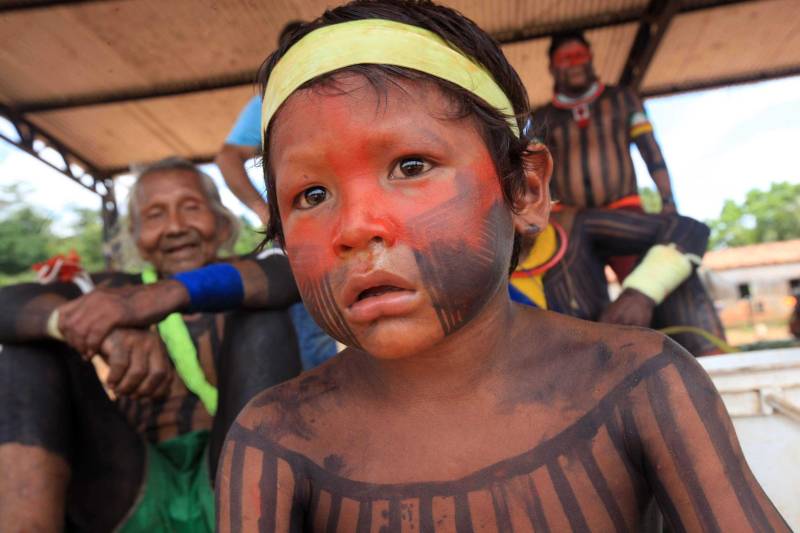 Está quase tudo pronto para a 6ª Semana dos Povos Indígenas, que começa neste domingo (15), em São Félix do Xingu, no sudeste do Pará. Antes de sair das aldeias em direção a São Félix – o terceiro maior município paraense em extensão territorial, atrás apenas de Altamira e Oriximiná –, as tribos fazem festa, numa espécie de preparação para os dias vindouros longe de casa. Na aldeia Krôkamôr, às margens do Rio Xingu e longe cerca de oito horas de barco da sede municipal, homens, mulheres e crianças Kayapó se unem na dança Kwyrykangô.
FOTO: RODOLFO OLIVEIRA / AG. PARÁ
DATA: 15.04.2018
SÃO FÉLIX DO XINGU - PARÁ <div class='credito_fotos'>Foto: Rodolfo Oliveira/Ag. Pará | <a href='/midias/2018/originais/0aa10195-e44c-4513-b1dc-6ce5bc832278.jpg' download><i class='fa-solid fa-download'></i> Download</a></div>