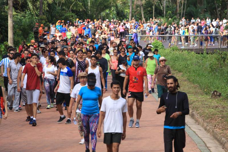 Uma reabertura feita a milhares de mãos. A fita inaugural colocada no inicio da trilha principal do Parque do Utinga foi rompida por mais de cinco mil pessoas ansiosas pelo inicio da caminhada, marcando o segundo dia da programação de reabertura do mais novo espaço paraense de lazer e interatividade com a natureza.
FOTO: MÁCIO FERREIRA / AG. PARÁ
DATA: 17.03.2018
BELÉM - PARÁ <div class='credito_fotos'>Foto: MÁCIO FERREIRA/ AG. PARÁ | <a href='/midias/2018/originais/0ee468aa-e774-43f1-a557-ff6a9a82bba7.jpg' download><i class='fa-solid fa-download'></i> Download</a></div>