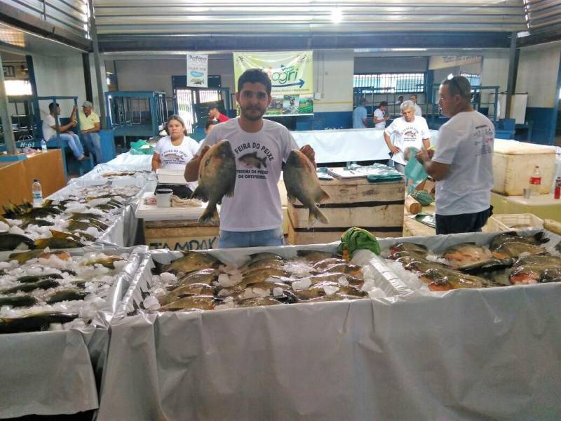 Assim como seu Paulo vários outros produtores estão aproveitando o período para vender ainda mais o produto. Dentro do calendário da semana santa, a Gerência Regional da Emater e da Secretaria de Desenvolvimento Agropecuário e da Pesca de Conceição do Araguaia com apoio dos municípios estão realizando, desta quinta-feira até domingo, a Feira do Pescado (foto) em Redenção, Xinguara, Água Azul do Norte, Tucumã e São Félix do Xingu. Segundo o gerente regional da Emater Luiz Flávio Cavalcante, a previsão é que sejam comercializadas 10 toneladas de várias espécies como caranha, tambaqui, piauaçú e pirarucu.
FOTO: KÉLIA SANTOS / ASCOM CRGSP
DATA: 29.03.2018
MARABÁ - PARÁ <div class='credito_fotos'>Foto: KÉLIA SANTOS / ASCOM CRGSP | <a href='/midias/2018/originais/111920a7-42bf-4db8-b1fd-22a0b6675481.jpg' download><i class='fa-solid fa-download'></i> Download</a></div>