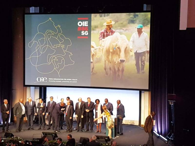 Uma comitiva com representantes do setor agropecuário do Pará (foto) participa da 86ª Seção Geral da Assembleia Mundial de Delegados, promovida pela Organização Mundial de Saúde Animal (OIE na sigla em inglês), que iniciou no domingo, 20, e segue até esta sexta-feira, 25, em Paris, na França. O estado do Pará, juntamente com os estados do Amapá, Amazonas e Roraima recebe, nesta quinta-feira, 24, a certificação internacional de área totalmente livre de febre aftosa com vacinação, tornando todo o Brasil 100% livre da doença. Durante a Assembleia Mundial dos Delegados da OIE, que reúne 800 representantes de 181 países signatários, serão discutidas normas de erradicação de doenças de animais (inclusive as transmissíveis a pessoas, como brucelose, tuberculose, influenza aviária e vaca louca), segurança sanitária do comércio internacional de animais e produtos de origem animal, bem-estar animal e alterações do Código Sanitário para Animais Terrestres. Também será apresentada a implantação dos Padrões da OIE pelos Países Membros da OIE, a situação atual e necessidades específicas de capacitação.
FOTO: ASCOM / ADEPARÁ
DATA: 23.05.2018
PARIS - FRANÇA <div class='credito_fotos'>Foto: ASCOM ADEPARÁ | <a href='/midias/2018/originais/11e86b92-8ba2-4219-b362-2cf1125254ad.jpg' download><i class='fa-solid fa-download'></i> Download</a></div>