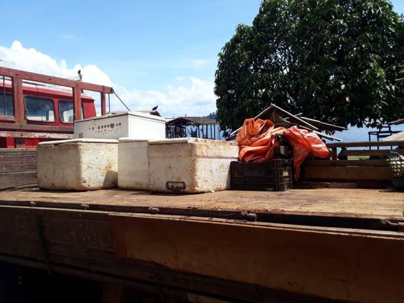 Uma tonelada e meia de pescados foi apreendida neste sábado (8) em mais uma mega operação de fiscalização no município de Tucuruí, sudeste paraense. O pescado era mantido em condições insalubres no porto do km 11 e em estabelecimentos residenciais e comerciais em Tucuruí. Além do pescado, foram apreendidos também cinco pássaros, balanças, basquetas e um freezer. Os peixes apreendidos que estavam em boas condições foram doados a comunidades carentes de Goianésia do Pará, Jacundá e Tucuruí. A operação foi realizada pelo Instituto de Desenvolvimento Florestal e da Biodiversidade (Ideflor-bio), em parceira com a Secretaria Estadual de Meio Ambiente e Sustentabilidade (Semas), a Polícia Militar, Eletronorte, Justiça Federal e as secretarias municipais de meio ambiente de Tucuruí, Goianésia do Pará e Jacundá.

FOTO: ASCOM / IDEFLOR-BIO
DATA: 09.12.2018
TUCURUÍ - PARÁ <div class='credito_fotos'>Foto: ASCOM / IDEFLOR-BIO   |   <a href='/midias/2018/originais/12875066-1cd1-4ee4-87b6-920cb0a86f04.jpg' download><i class='fa-solid fa-download'></i> Download</a></div>