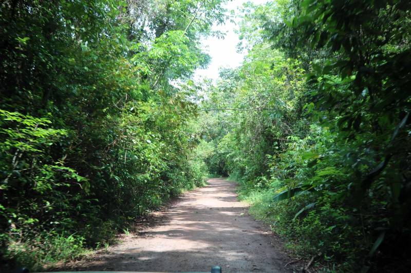 O Instituto de Desenvolvimento Florestal e da Biodiversidade (Ideflor-bio) inaugura neste final de semana a primeira trilha de longo curso do Pará. Com 30 quilômetros de extensão, a Rota do Guarumã passa pelas cidades de Belém, Ananindeua, Marituba e Benevides, na Região Metropolitana da capital paraense. O percurso atravessa as Unidades de Conservação Parque Estadual do Utinga, Área de Proteção Ambiental Metropolitana de Belém e o Refúgio de Vida Silvestre Metrópole da Amazônia.

FOTO: ASCOM IDEFLOR
DATA: 14.12.2018
BELÉM - PARÁ
 <div class='credito_fotos'>Foto: Ascom Ideflor   |   <a href='/midias/2018/originais/13dd4653-8262-4dfb-a543-e9b1c0eba86d.jpg' download><i class='fa-solid fa-download'></i> Download</a></div>