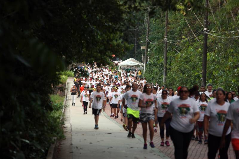 “Foi uma semana produtiva, de muito trabalho, de interação com a sociedade, e culminou com a caminhada sustentável (foto), que por sua vez foi extremamente bem-sucedida para mostrarmos que sustentabilidade também envolve saúde”. As palavras do titular da Secretaria de Estado de Meio Ambiente e Sustentabilidade (Semas), Thales Belo, encerraram uma programação vasta do Governo do Pará em alusão à Semana Mundial do Meio Ambiente.

FOTO: SIDNEY OLIVEIRA / AG. PARÁ
DATA: 09.06.2018
BELÉM - PARÁ <div class='credito_fotos'>Foto: Sidney Oliveira/Ag. Pará   |   <a href='/midias/2018/originais/15848579-e351-481e-9036-a57ed1148c55.jpg' download><i class='fa-solid fa-download'></i> Download</a></div>