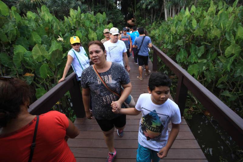 Uma reabertura feita a milhares de mãos. A fita inaugural colocada no inicio da trilha principal do Parque do Utinga foi rompida por mais de cinco mil pessoas ansiosas pelo inicio da caminhada, marcando o segundo dia da programação de reabertura do mais novo espaço paraense de lazer e interatividade com a natureza.
FOTO: MÁCIO FERREIRA / AG. PARÁ
DATA: 17.03.2018
BELÉM - PARÁ <div class='credito_fotos'>Foto: MÁCIO FERREIRA/ AG. PARÁ | <a href='/midias/2018/originais/18640def-1b60-438a-9655-8b282d707e4e.jpg' download><i class='fa-solid fa-download'></i> Download</a></div>