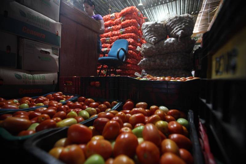 Quem foi às Centrais de Abastecimento do Pará (Ceasa-PA) nesta segunda-feira (4) já conseguiu adquirir diversos hortifrutigranjeiros que estavam em falta por conta da greve dos caminhoneiros. O movimento, que durou mais de 10 dias em todo o país, prejudicou o abastecimento desses produtos em quase todas as cidades brasileiras.

FOTO: SIDNEY OLIVEIRA / AG. PARÁ
DATA: 04.06.2018
BELÉM - PARÁ <div class='credito_fotos'>Foto: Sidney Oliveira/Ag. Pará   |   <a href='/midias/2018/originais/18809eb2-f17c-4fd5-87a7-68eecc858a61.jpg' download><i class='fa-solid fa-download'></i> Download</a></div>