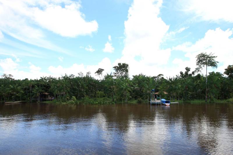 A comunidade Sítio Bosque fica no município de Moju, a 127 quilômetros da capital paraense. Após a descida da ponte que dá acesso à cidade e mais 45 minutos por uma estrada de ramal, às margens do Rio Moju, chega-se à comunidade. Lá moram 87 famílias, o equivalente a mais de 200 pessoas
FOTO: MÁCIO FERREIRA / AG. PARÁ
DATA: 05.03.2018
MOJU - PARÁ <div class='credito_fotos'>Foto: MÁCIO FERREIRA/ AG. PARÁ | <a href='/midias/2018/originais/1974def5-50bb-48be-b757-2a749180088f.jpg' download><i class='fa-solid fa-download'></i> Download</a></div>