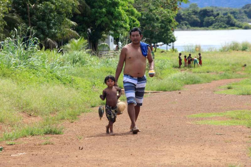 Está quase tudo pronto para a 6ª Semana dos Povos Indígenas, que começa neste domingo (15), em São Félix do Xingu, no sudeste do Pará. Antes de sair das aldeias em direção a São Félix – o terceiro maior município paraense em extensão territorial, atrás apenas de Altamira e Oriximiná –, as tribos fazem festa, numa espécie de preparação para os dias vindouros longe de casa. Na aldeia Krôkamôr, às margens do Rio Xingu e longe cerca de oito horas de barco da sede municipal, homens, mulheres e crianças Kayapó se unem na dança Kwyrykangô.
FOTO: RODOLFO OLIVEIRA / AG. PARÁ
DATA: 15.04.2018
SÃO FÉLIX DO XINGU - PARÁ <div class='credito_fotos'>Foto: Rodolfo Oliveira/Ag. Pará | <a href='/midias/2018/originais/19a3439d-f498-4518-84af-ae3ec65c3b43.jpg' download><i class='fa-solid fa-download'></i> Download</a></div>