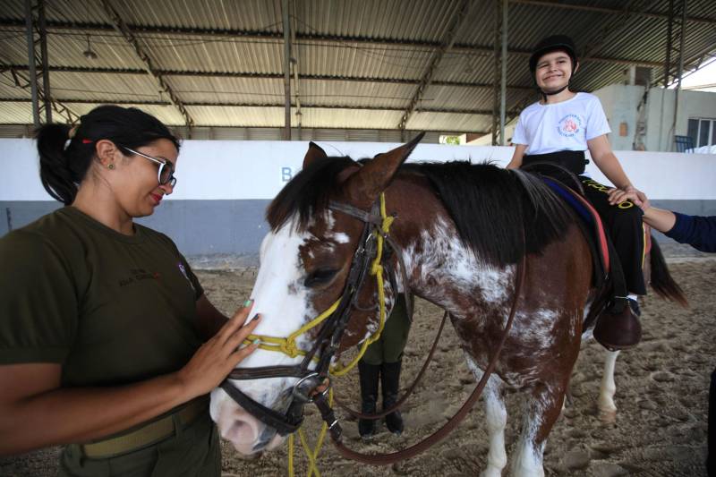 “Quando recebi a indicação de terapeutas e médicos de que meu filho autista deveria fazer equoterapia, não imaginava que conquistaríamos resultados tão maravilhosos, que ele começaria a interagir, perder o medo dos animais, melhorar a postura e ter mais autonomia”. O depoimento emocionado é de Isabel Melo, mãe de João Vitor, de 10 anos (foto), paciente do Programa de Equoterapia, realizado pela Polícia Militar do Pará.
FOTO: MÁCIO FERREIRA / AG. PARÁ
DATA: 02.04.2018
BELÉM - PARÁ <div class='credito_fotos'>Foto: MÁCIO FERREIRA/ AG. PARÁ | <a href='/midias/2018/originais/1ad6a488-ad37-4ae8-971b-178b57f6f2f6.jpg' download><i class='fa-solid fa-download'></i> Download</a></div>