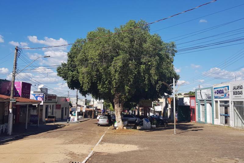 Para avaliar o andamento da obra da Escola Estadual de Ensino Fundamental e Médio Deocleciano Alves Moreira, em Conceição do Araguaia (foto), alunos montaram uma comissão de fiscalização. Mensalmente eles visitam as novas instalações da escola, como explica Diego Rian Morais.
FOTO: ASCOM CRGSP
DATA: 15.06.2018
CONCEIÇÃO DO ARAGUAIA - PARÁ <div class='credito_fotos'>Foto: ASCOM CRGSP | <a href='/midias/2018/originais/1bac483a-4370-47de-91b4-381b3aee9c36.jpg' download><i class='fa-solid fa-download'></i> Download</a></div>