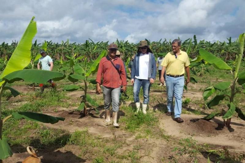 Extensionistas da Empresa de Assistência Técnica e Extensão Rural do Estado do Pará (Emater-Pará), incluindo representantes do regional de Castanhal, realizaram visitas técnicas de assessoramento e monitoramento em seis propriedades contempladas pelo programa Pará Produtivo, nesta quarta-feira, 16, em Santo Antônio do Tauá, no nordeste do estado.
FOTO: ASCOM EMATER
DATA: 16.05.2018
SANTO ANTÔNIO DO TAUÁ - PARÁ <div class='credito_fotos'>Foto: ASCOM EMATER | <a href='/midias/2018/originais/24e2eefc-35b7-4cfc-a01d-e935b8b9ca02.jpg' download><i class='fa-solid fa-download'></i> Download</a></div>