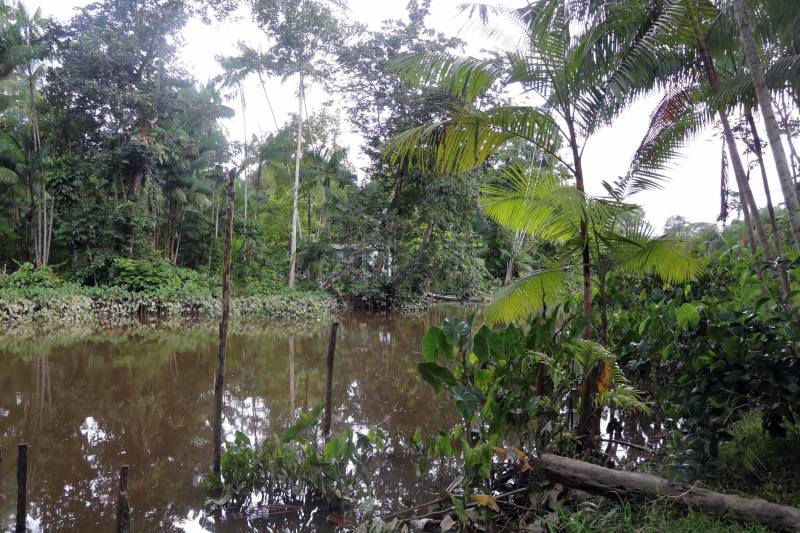 O Instituto de Desenvolvimento Florestal e da Biodiversidade (Ideflor-bio) inaugura neste final de semana a primeira trilha de longo curso do Pará. Com 30 quilômetros de extensão, a Rota do Guarumã passa pelas cidades de Belém, Ananindeua, Marituba e Benevides, na Região Metropolitana da capital paraense. O percurso atravessa as Unidades de Conservação Parque Estadual do Utinga, Área de Proteção Ambiental Metropolitana de Belém e o Refúgio de Vida Silvestre Metrópole da Amazônia.

FOTO: ASCOM IDEFLOR
DATA: 14.12.2018
BELÉM - PARÁ
 <div class='credito_fotos'>Foto: Ascom Ideflor   |   <a href='/midias/2018/originais/25408cf4-8801-4f96-ace4-4c56d6d65d5a.jpg' download><i class='fa-solid fa-download'></i> Download</a></div>