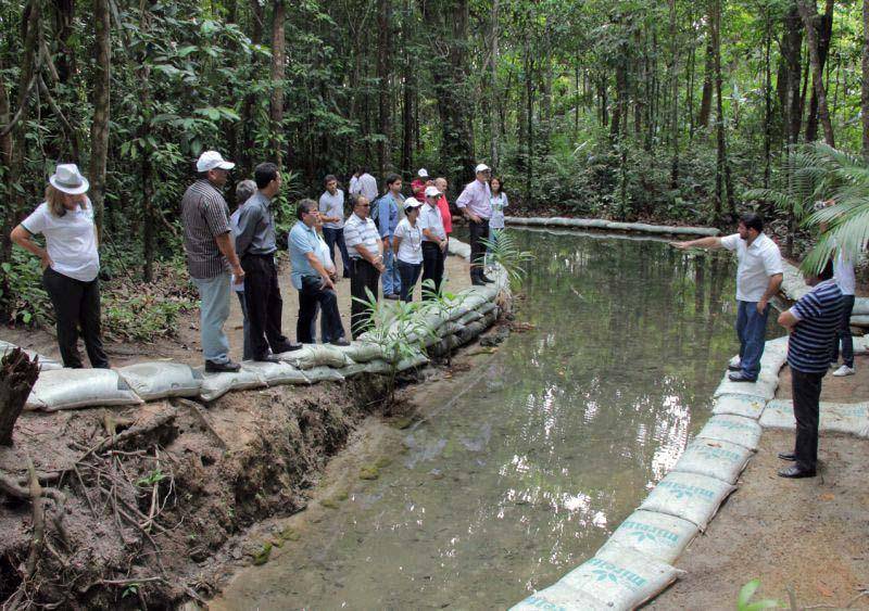 A Unidade Didática de Bragança (UDB, na foto) da Empresa de Assistência Técnica e Extensão Rural do Estado do Pará (Emater-Pará) recebe nesta terça-feira (26), cerca de 40 agricultores da comunidade Montenegro, que irão participar de reunião para tratar do Cadastro Ambiental Rural (CAR). E na quarta-feira (27), pela manhã, agricultores familiares da comunidade Camutá irão conhecer a área de 100 hectares, localizada a sete quilômetros da sede do município, que é destinada ao treinamento de extensionistas rurais e agricultores familiares. A UDB costuma receber visitantes em seus vários ambientes de produção, seja em encontros, reuniões, cursos, oficinas, palestras, intercâmbios, excursões e outras atividades, como apoio a instituições educacionais dos mais diversos níveis. A UDB funciona como vitrine de tecnologias, sendo referência na produção agroecológica e na capacitação em prol da agricultura familiar, em vários projetos simultâneos, como agroindústrias, recuperação de nascente, horta orgânica, laboratório de análise de solos, fruticultura, piscicultura e processos de compostagem do solo. Possui auditório (com capacidade para receber até 60 participantes por evento) e tem inclusive, estrutura de acomodação.
FOTO ASCOM / EMATER
DATA: 20.06.2018
BRAGANÇA - PARÁ <div class='credito_fotos'>Foto: ASCOM EMATER | <a href='/midias/2018/originais/275f5541-69bb-498e-90df-d4fef7f565ce.jpg' download><i class='fa-solid fa-download'></i> Download</a></div>