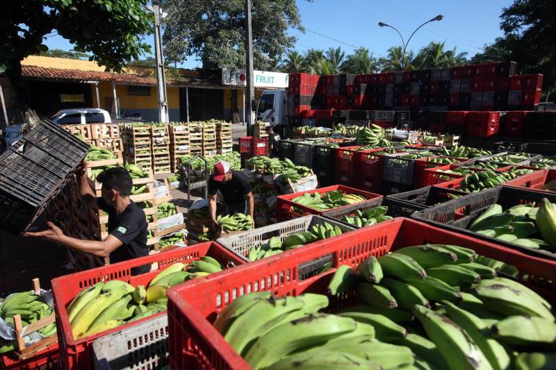 Quem foi às Centrais de Abastecimento do Pará (Ceasa-PA) nesta segunda-feira (4) já conseguiu adquirir diversos hortifrutigranjeiros que estavam em falta por conta da greve dos caminhoneiros. O movimento, que durou mais de 10 dias em todo o país, prejudicou o abastecimento desses produtos em quase todas as cidades brasileiras.

FOTO: SIDNEY OLIVEIRA / AG. PARÁ
DATA: 04.06.2018
BELÉM - PARÁ <div class='credito_fotos'>Foto: Sidney Oliveira/Ag. Pará   |   <a href='/midias/2018/originais/294fbbe2-3471-42bc-91b4-532b3e2ac2d1.jpg' download><i class='fa-solid fa-download'></i> Download</a></div>