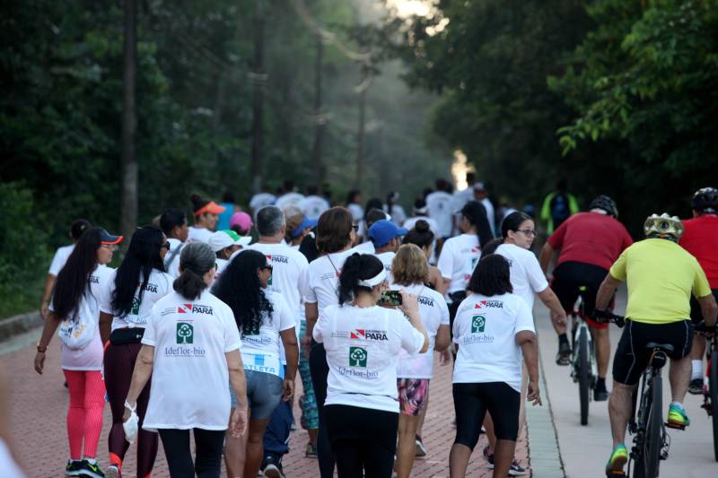 “Foi uma semana produtiva, de muito trabalho, de interação com a sociedade, e culminou com a caminhada sustentável (foto), que por sua vez foi extremamente bem-sucedida para mostrarmos que sustentabilidade também envolve saúde”. As palavras do titular da Secretaria de Estado de Meio Ambiente e Sustentabilidade (Semas), Thales Belo, encerraram uma programação vasta do Governo do Pará em alusão à Semana Mundial do Meio Ambiente.

FOTO: SIDNEY OLIVEIRA / AG. PARÁ
DATA: 09.06.2018
BELÉM - PARÁ <div class='credito_fotos'>Foto: Sidney Oliveira/Ag. Pará   |   <a href='/midias/2018/originais/2d141e17-7acd-4a3f-8986-b93a7b24b977.jpg' download><i class='fa-solid fa-download'></i> Download</a></div>