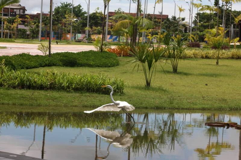 Com uma área equivalente a 1340 campos de futebol (1.340 hectares) o Parque Estadual do Utinga possui uma fauna exuberante com mais de 200 espécies de aves registradas e a maior biodiversidade de peixes em parques em todo o mundo com 90 espécies de peixes catalogadas.
FOTO: ANTONIO SILVA / AG. PARÁ
DATA: 03.03.2018
BELÉM - PARÁ <div class='credito_fotos'>Foto: ANTONIO SILVA / AG. PARÁ | <a href='/midias/2018/originais/2d24b925-5f46-4465-9ff1-6db2f8ea90eb.jpg' download><i class='fa-solid fa-download'></i> Download</a></div>