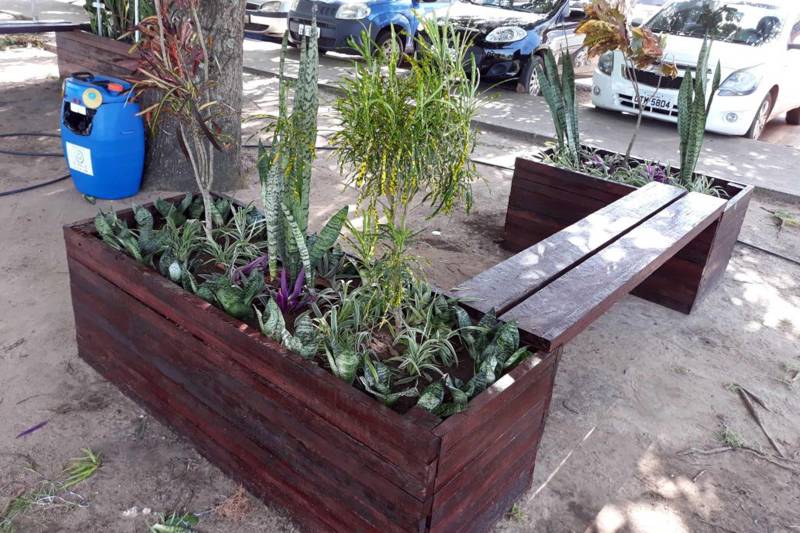 O Hospital Regional do Baixo Amazonas (HRBA), em Santarém, ganhou, nesta quarta-feira, 21, um novo espaço de convivência, que proporciona aos funcionários e pacientes um contato maior com a natureza. Por meio do projeto “Reflorestar”, foi criada uma área sustentável na parte externa da unidade, bem próximo à entrada principal.
FOTO: ASCOM HRPT
DATA: 22.03.2018
SANTARÉM - PARÁ <div class='credito_fotos'>Foto: ASCOM HRPT | <a href='/midias/2018/originais/2d62bd59-5c94-4beb-9716-f79cf1f5f1bf.jpg' download><i class='fa-solid fa-download'></i> Download</a></div>