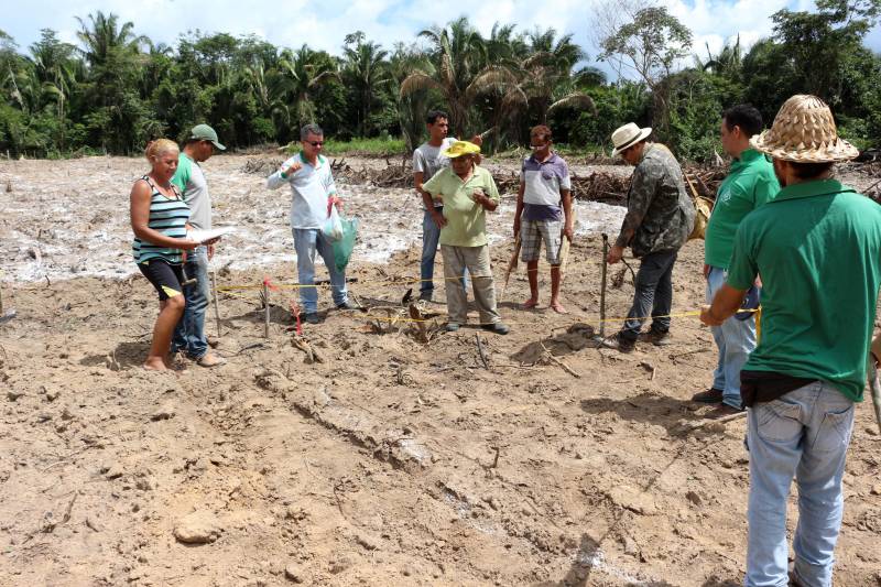 Agricultores de Marabá, no sudeste do estado, devem receber pelo menos R$ 2 milhões e meio de crédito rural este ano para investir em bovinocultura de leite, mandiocultura, fruticultura e criação de galinha caipira, entre outros.
FOTO: ASCOM EMATER
DATA: 13.04.2018
MARABÁ - PARÁ <div class='credito_fotos'>Foto: ASCOM EMATER | <a href='/midias/2018/originais/31fcea50-2f9f-43b2-a988-74a8596bca76.jpg' download><i class='fa-solid fa-download'></i> Download</a></div>