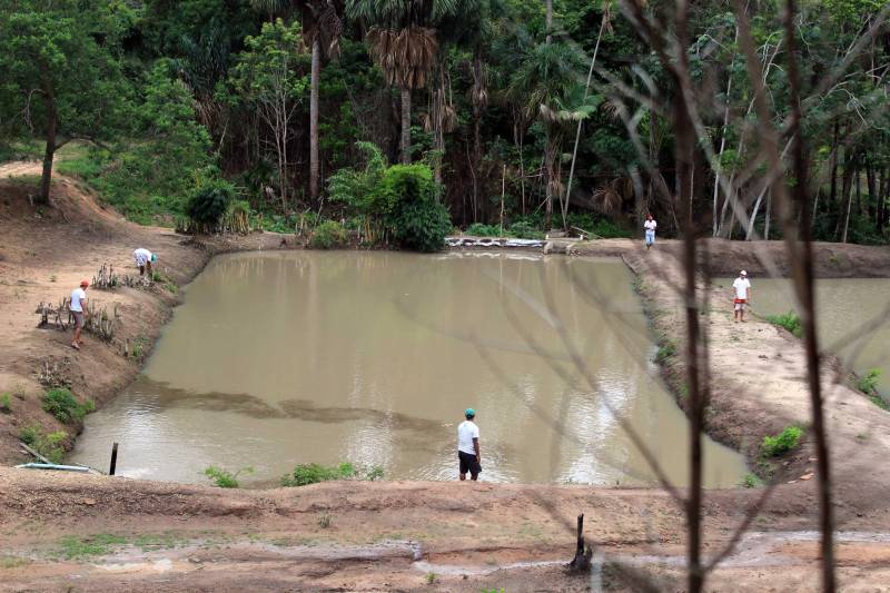 Um projeto de revitalização de tanques para criação de peixes destinados à comercialização e consumo dos detentos está sendo desenvolvido no Centro de Recuperação Agrícola Sílvio Hall de Moura, localizado no município de Santarém, no oeste do Estado. 

FOTO: ASCOM SUSIPE
DATA: 11.12.2018
SANTARÉM - PARÁ <div class='credito_fotos'>Foto: ASCOM SUSIPE   |   <a href='/midias/2018/originais/330826a4-9544-4e7f-a882-990e873e71bd.jpg' download><i class='fa-solid fa-download'></i> Download</a></div>