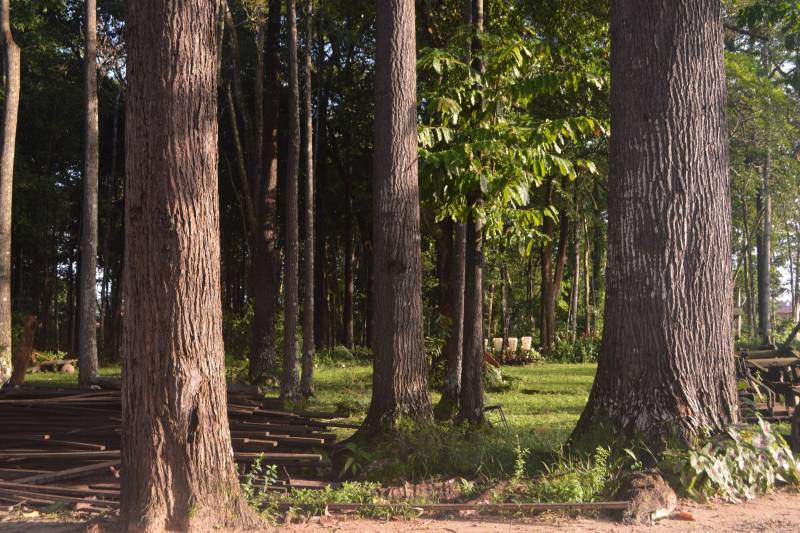 O diretor de Gestão da Biodiversidade (DGBio) do Instituto de Desenvolvimento Florestal e da Biodiversidade (Ideflor-bio), Crisomar Lobato, e a Técnica de Criação de Unidades de Conservação, Jocilete Ribeiro, entregaram à Prefeitura Municipal de Castanhal, na quinta-feira, 10, os documentos necessários para a criação do Parque Natural Municipal de Castanhal (PNMC).
FOTO: ASCOM IDEFLOR-BIO
DATA: 11.05.2018
CASTANHAL - PARÁ <div class='credito_fotos'>Foto: Ascom Ideflor-Bio | <a href='/midias/2018/originais/338745a2-5803-473a-9c04-db1ba517334e.jpg' download><i class='fa-solid fa-download'></i> Download</a></div>