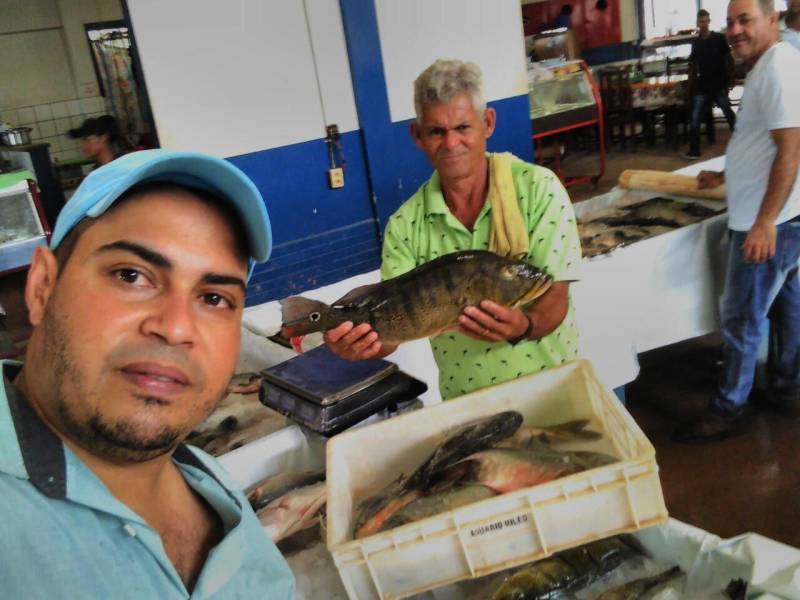Assim como seu Paulo vários outros produtores estão aproveitando o período para vender ainda mais o produto. Dentro do calendário da semana santa, a Gerência Regional da Emater e da Secretaria de Desenvolvimento Agropecuário e da Pesca de Conceição do Araguaia com apoio dos municípios estão realizando, desta quinta-feira até domingo, a Feira do Pescado (foto) em Redenção, Xinguara, Água Azul do Norte, Tucumã e São Félix do Xingu. Segundo o gerente regional da Emater Luiz Flávio Cavalcante, a previsão é que sejam comercializadas 10 toneladas de várias espécies como caranha, tambaqui, piauaçú e pirarucu.
FOTO: KÉLIA SANTOS / ASCOM CRGSP
DATA: 29.03.2018
MARABÁ - PARÁ <div class='credito_fotos'>Foto: KÉLIA SANTOS / ASCOM CRGSP | <a href='/midias/2018/originais/34e4fafd-f511-4e18-ac17-e37ec6d57f0c.jpg' download><i class='fa-solid fa-download'></i> Download</a></div>