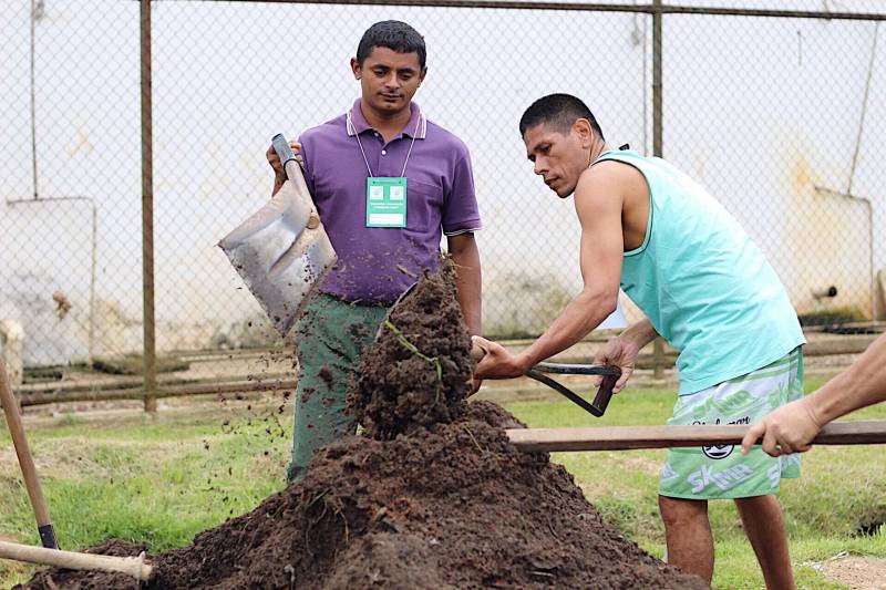 O cultivo de hortaliças e o manejo com a terra são formas de ressocialização oferecida para 20 internos custodiados na Central de Triagem Metropolitana II (CTM II), em Ananindeua, que participam de um curso de Horticultura promovido pelo Serviço Nacional de Aprendizagem Rural (Senar), em parceria com a Superintendência do Sistema Penitenciário do Estado (Susipe). O objetivo é preparar e qualificar os internos da unidade para o mercado de trabalho.
FOTO: Veloso Jr/ ASCOM SUSIPE
DATA: 13.11.2018
SANTA IZABEL - PARÁ
<div class='credito_fotos'>Foto: Veloso Junior / Ascom Susipe | <a href='/midias/2018/originais/37d78223-63ea-4c27-8c25-523ec6171fa0.jpg' download><i class='fa-solid fa-download'></i> Download</a></div>