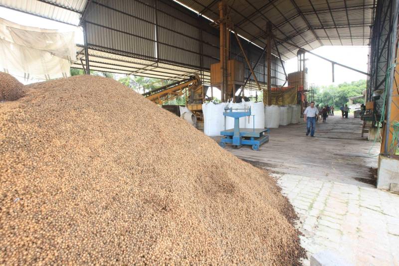 Mais de 300 produtores compareceram à arena Bira's, em Igarapé-Miri, no nordeste paraense, na manhã de quinta-feira (15), em busca de informações sobre crédito, qualificação profissional, regularização fundiária e cadeia produtiva. O público foi atendido pela "Caravana Pará 2030 - Igarapé-Miri", promovida pelo governo do Estado, que levou ao município os serviços de várias secretarias, bancos e instituições ligadas à produção e à intermediação de negócios.
FOTO: RODOLFO OLIVEIRA / AG. PARÁ
DATA: 16.03.2018
IGARAPÉ-MIRI - PARÁ <div class='credito_fotos'>Foto: Rodolfo Oliveira/Ag. Pará | <a href='/midias/2018/originais/387cfe19-a9bd-401f-8f5c-edc96463e44d.jpg' download><i class='fa-solid fa-download'></i> Download</a></div>