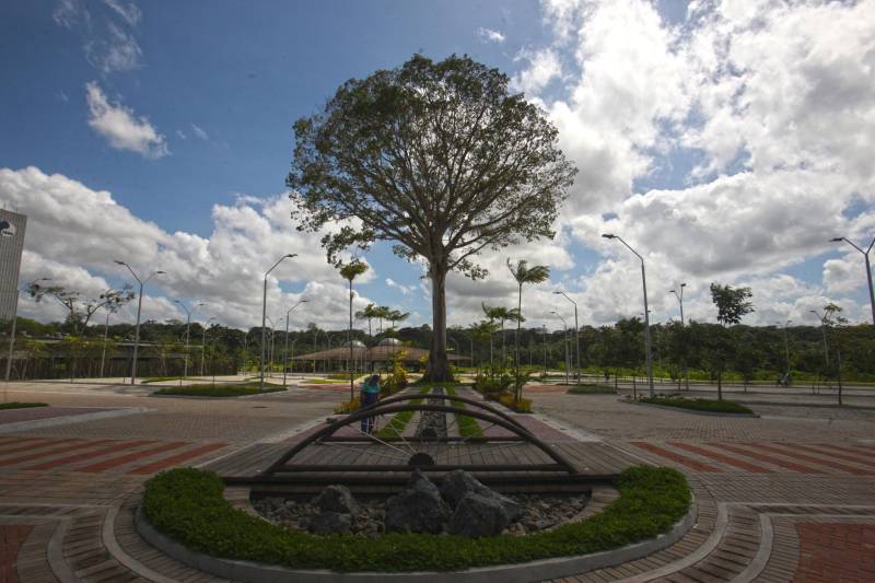 Com uma área equivalente a 1340 campos de futebol (1.340 hectares) o Parque Estadual do Utinga possui uma fauna exuberante com mais de 200 espécies de aves registradas e a maior biodiversidade de peixes em parques em todo o mundo com 90 espécies de peixes catalogadas.
FOTO: IGOR BRANDÃO / AG. PARÁ
DATA: 03.03.2018
BELÉM - PARÁ <div class='credito_fotos'>Foto: IGOR BRANDÃO / AG. PARÁ | <a href='/midias/2018/originais/39316d75-f179-41e3-9163-1523527623e0.jpg' download><i class='fa-solid fa-download'></i> Download</a></div>