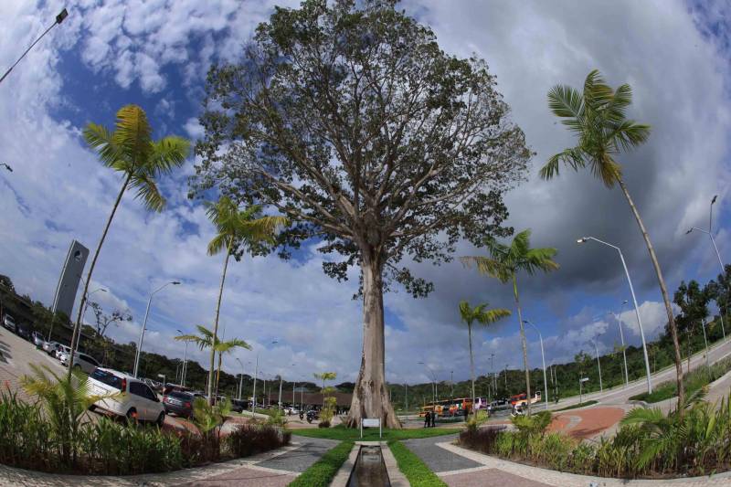 O Parque Estadual do Utinga (PEUt) o mais importante espaço de preservação e estudo da biodiversidade dentro da Região Metropolitana de Belém será reaberto à população a partir desta sexta,16, a partir das 16h30, com apresentações artísticas, com o Boi Veludinho, crianças do Pro Paz e a premiada Orquestra Sinfônica do Theatro da Paz. A apresentação será em um espaço ao ar livre e não será necessária a retirada de ingressos, por esse motivo, a recomendação é que o público chegue cedo, porque a entrada será fechada quando o espaço estiver lotado.
FOTO: MÁCIO FERREIRA / AG PARÁ
DATA: 16.03.2018
BELÉM - PARÁ <div class='credito_fotos'>Foto: MÁCIO FERREIRA/ AG. PARÁ | <a href='/midias/2018/originais/3ad64461-813f-4da8-9db3-21a034b27061.jpg' download><i class='fa-solid fa-download'></i> Download</a></div>