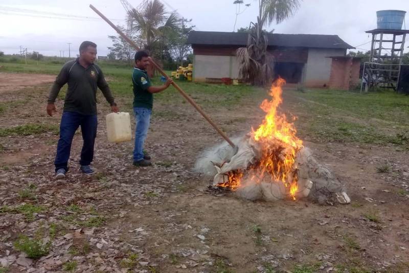 Uma mega operação de fiscalização nos municípios de Marabá e Nova Ipixuna apreendeu, neste domingo, 25, mais de uma tonelada de peixes retirados ilegalmente do Lago de Tucuruí. Foram apreendidos também apetrechos de pesca, como malhadeiras com tamanhos irregulares, além de caças e pássaros. A operação foi coordenada por equipes técnicas do Instituto de Desenvolvimento Florestal e da Biodiversidade (Ideflor-bio), em parceria com a Secretaria Estadual de Meio Ambiente e Sustentabilidade (Semas) e Polícia Militar.

FOTO: ASCOM IDEFLOR
DATA: 26.11.2018
MARABÁ-PARÁ <div class='credito_fotos'>Foto: Ascom Ideflor   |   <a href='/midias/2018/originais/3af60a97-eb9d-40b4-9feb-a28bde551a79.jpg' download><i class='fa-solid fa-download'></i> Download</a></div>