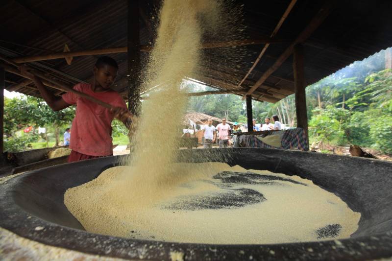 O dia começa cedo para a família do agricultor Adilson dos Santos, 33 anos. Produtores de mandioca da comunidade quilombola Boa Vista do Itá, de Santa Izabel do Pará, região metropolitana de Belém, eles são o retrato de uma tradição que vem se perpetuando por gerações e garantindo na mesa dos paraenses o produto que é a base alimentar do Estado. Do plantio ao beneficiamento, o lavrador herdou do pai a cultura que hoje é a principal fonte de renda da vila, onde vivem cerca de 50 famílias. No Pará, 96% da mandioca produzida vem da agricultura familiar. “Mandioca é pop, mandioca é tudo”, brinca Adilson. Ele está certo. Os produtos derivados da planta são diversos e ajudam a compor alguns dos pratos típicos mais conhecidos da região. Quase onipresente na mesa do paraense, a farinha é, muitas vezes, o alimento principal, nos sete dias da semana. Mas para chegar até as nossas casas, é preciso muito esforço e dedicação, aliado ao emprego de pesquisa e investimentos cada vez maiores do poder público. O conhecimento empírico do homem do campo hoje recebe o apoio de novas tecnologias e técnicas de plantio, que resultam em mais qualidade e produtividade.
FOTO: MÁCIO FERREIRA / AG PARÁ
DATA: 25.02.2018
SANTA IZABEL DO PARÁ
<div class='credito_fotos'>Foto: MÁCIO FERREIRA/ AG. PARÁ | <a href='/midias/2018/originais/3c8772d7-3b52-4806-8017-2e6c10c5f7e5.jpg' download><i class='fa-solid fa-download'></i> Download</a></div>
