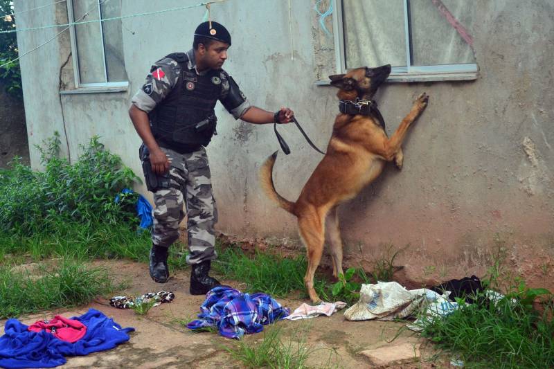 A Secretaria de Estado de Segurança Pública e Defesa Social (Segup) deflagrou nas primeiras horas da manhã desta quinta-feira (29), a operação Templários, que resultou na prisão de 10 pessoas e apreensão de mais de 300 petecas de cocaína, cerca de 500 gramas de pasta base de cocaína, aproximadamente 50 gramas de maconha (do tipo limãozinho) e um revólver calibre 38. O trabalho contou com o apoio das Polícias Civil e Militar.

FOTO: ELIELSON MODESTO/ASCOM SEGUP
DATA: 29.11.2018
ANANINDEUA-PARÁ <div class='credito_fotos'>Foto: Elielson Modesto / Ascom Segup   |   <a href='/midias/2018/originais/3d7eb6a3-21a9-439b-80cc-3668c92221ba.jpg' download><i class='fa-solid fa-download'></i> Download</a></div>