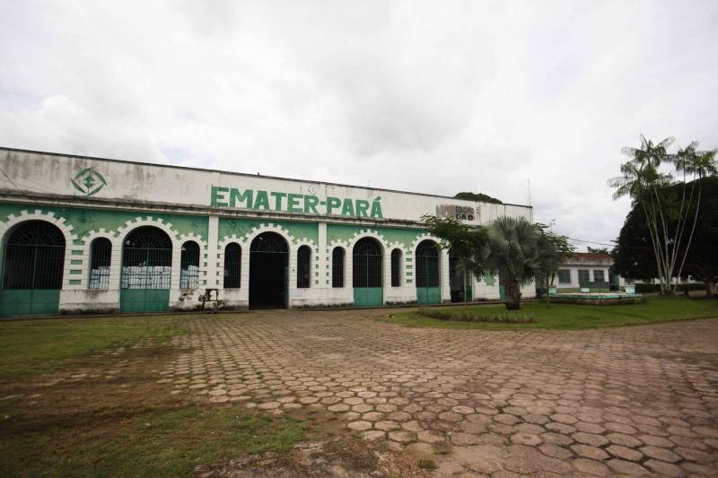 O dia começa cedo para a família do agricultor Adilson dos Santos, 33 anos. Produtores de mandioca da comunidade quilombola Boa Vista do Itá, de Santa Izabel do Pará, região metropolitana de Belém, eles são o retrato de uma tradição que vem se perpetuando por gerações e garantindo na mesa dos paraenses o produto que é a base alimentar do Estado. Do plantio ao beneficiamento, o lavrador herdou do pai a cultura que hoje é a principal fonte de renda da vila, onde vivem cerca de 50 famílias. No Pará, 96% da mandioca produzida vem da agricultura familiar. “Mandioca é pop, mandioca é tudo”, brinca Adilson. Ele está certo. Os produtos derivados da planta são diversos e ajudam a compor alguns dos pratos típicos mais conhecidos da região. Quase onipresente na mesa do paraense, a farinha é, muitas vezes, o alimento principal, nos sete dias da semana. Mas para chegar até as nossas casas, é preciso muito esforço e dedicação, aliado ao emprego de pesquisa e investimentos cada vez maiores do poder público. O conhecimento empírico do homem do campo hoje recebe o apoio de novas tecnologias e técnicas de plantio, que resultam em mais qualidade e produtividade.
FOTO: iGOR BRANDÃO / AG PARÁ
DATA: 25.02.2018
BELÉM - PARÁ <div class='credito_fotos'>Foto: IGOR BRANDÃO / AG. PARÁ | <a href='/midias/2018/originais/3db1667e-4261-450c-b62a-44644c787ac5.jpg' download><i class='fa-solid fa-download'></i> Download</a></div>