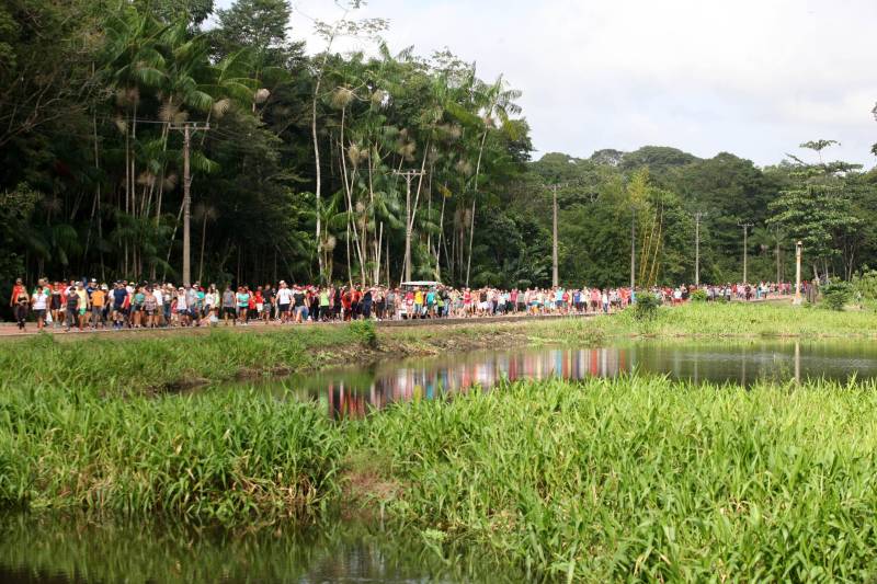 Uma reabertura feita a milhares de mãos. A fita inaugural colocada no inicio da trilha principal do Parque do Utinga foi rompida por mais de cinco mil pessoas ansiosas pelo inicio da caminhada, marcando o segundo dia da programação de reabertura do mais novo espaço paraense de lazer e interatividade com a natureza.
FOTO: SIDNEY OLIVEIRA / AG. PARÁ
DATA: 17.03.2018
BELÉM - PARÁ <div class='credito_fotos'>Foto: Sidney Oliveira/Ag. Pará | <a href='/midias/2018/originais/3f0b8ebd-b1d3-43cb-b26b-1d937baeea14.jpg' download><i class='fa-solid fa-download'></i> Download</a></div>