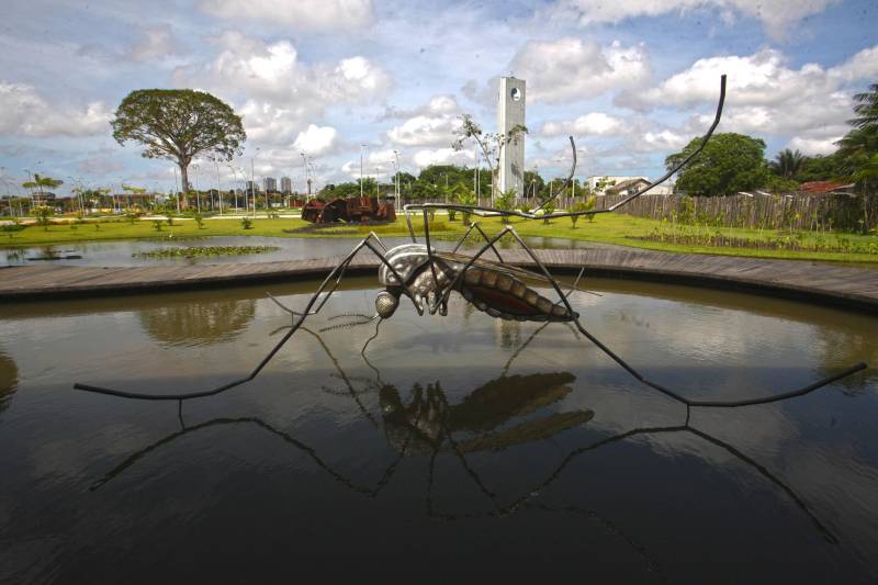 Bastante aguardado, o novo Parque Estadual do Utinga (PEUt) será reaberto ao público pelo Governo do Estado nos próximos dias 16 e 17 de março. Os serviços do mais importante espaço de preservação e estudo da biodiversidade dentro da Região Metropolitana de Belém serão oferecidos em caráter experimental. Na sexta-feira, a partir das 16h30, serão realizadas apresentações artísticas, com o Boi Veludinho, crianças do Pro Paz e a premiada Orquestra Sinfônica do Theatro da Paz. A apresentação será em um espaço ao ar livre e não será necessária a retirada de ingressos, por esse motivo, a recomendação é que o público chegue cedo, porque a entrada será fechada quando o espaço estiver lotado. No sábado, será realizada uma grande caminhada, a partir das 8 horas, com paradas para informações educativas sobre a fauna, flora e sobre os novos espaços. Por conta da grande quantidade de pessoas, incluindo crianças e idosos, o Corpo de Bombeiros recomendou e, a organização do evento acatou, a necessidade de se evitar durante a manhã do sábado o trânsito de veículos sobre rodas, como carros, bicicletas, skates e patins. Depois das 12 horas e durante todo o funcionamento do parque, a entrada e o uso por praticantes desta modalidade está completamente liberada no Parque. No domingo, o parque funciona normalmente ao público no horário de 5h30 às 17h, assim como nos outros dias, de segunda a segunda.
FOTO: IGOR BRANDÃO / AG PARÁ
DATA: 11.032018
BELÉM - PARÁ <div class='credito_fotos'>Foto: IGOR BRANDÃO / AG. PARÁ | <a href='/midias/2018/originais/3f617609-f063-4767-b99f-12e7db83e3ec.jpg' download><i class='fa-solid fa-download'></i> Download</a></div>