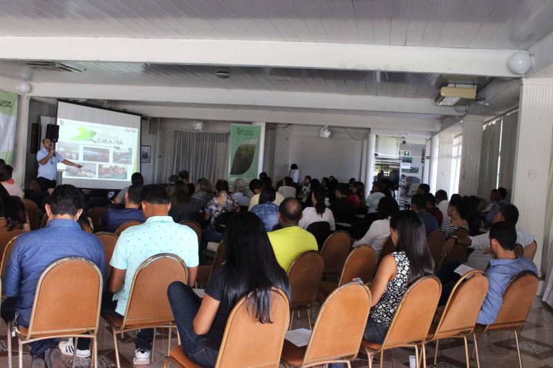 A primeira etapa da II Qualificação para Gestão Ambiental dos municípios paraenses, promovida pela Secretaria de Estado de Meio Ambiente e Sustentabilidade (Semas) e pelo Programa Municípios Verdes (PMV), foi concluída na sexta-feira (11), com a participação de 80 pessoas.
FOTO: ASCOM SEMAS
DATA: 11.05.2018
BELÉM - PARÁ <div class='credito_fotos'>Foto: ASCOM SEMAS | <a href='/midias/2018/originais/407b7d3d-af9b-4926-873e-a567ccc18a6c.jpg' download><i class='fa-solid fa-download'></i> Download</a></div>