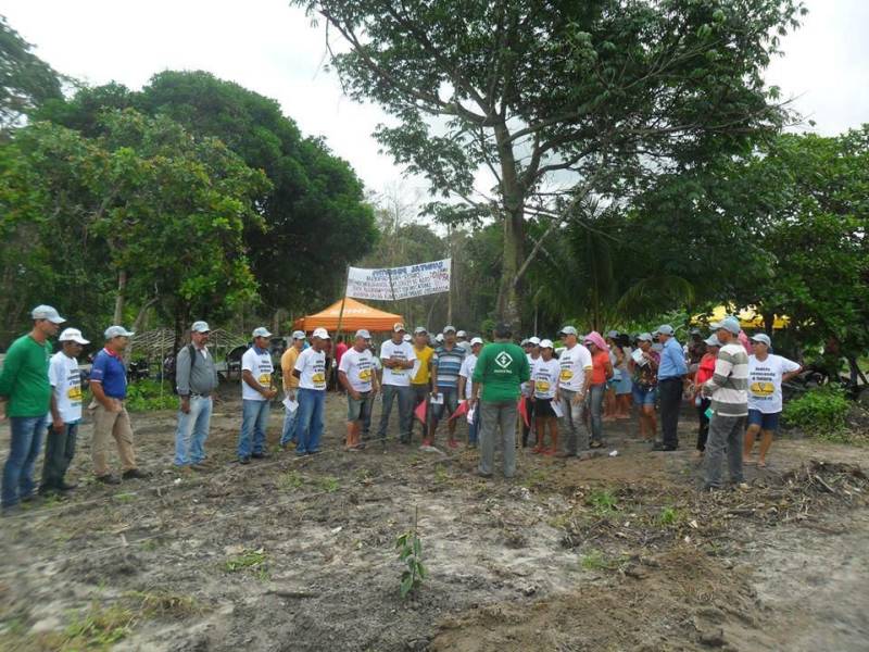 A proposta inicial do engenheiro agrônomo Jairo Eiras, supervisor do Regional da Emater em Capanema, nordeste paraense, de recuperar áreas alteradas de agricultores familiares no programa de autoabastecimento municipal, cresceu e ganhou novos elementos. A partir dela, foi possível implantar um sistema de agricultura itinerante com cultivos integrados e sustentáveis. Com isso, conseguiu-se ampliar a base produtiva local e regional, incorporando a criação de animais de pequeno porte, assegurando renda para núcleos familiares e tornando produções de alimentos autossuficientes, com implantação de campos de produção de mudas e quintais produtivos, interagindo com outros programas e projetos sociais. Em 2017, o projeto Quintais Produtivos (foto) teve o número de famílias participantes ampliado de 50 para 200. O engenheiro agrônomo Jairo Eiras informa que essa expansão se deve, principalmente, a inclusão do Projeto Água, que sugere o aproveitamento de recursos, como captação da água da chuva e a construção de poços artesanais. Além disso, a consolidação do município de Capanema na Rota Turística Belém-Bragança, sobretudo no papel de fornecedor de alimentos, também colaborou com esse crescimento.
FOTO: ASCOM / EMATER
DATA: 08.05.2018
CAPANEMA - PARÁ <div class='credito_fotos'>Foto: ASCOM EMATER | <a href='/midias/2018/originais/419fefff-483a-449e-9546-b8551211c78b.jpg' download><i class='fa-solid fa-download'></i> Download</a></div>