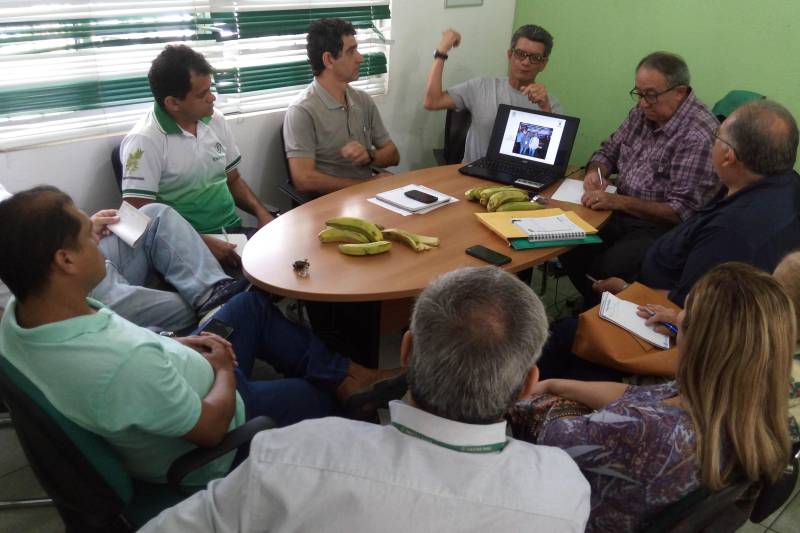 As ações da bananicultura dentro do Pará Produtivo foram o tema de uma reunião na sede da Empresa de Assistência Técnica e Extensão Rural do Estado do Pará (Emater), na manhã desta quinta-feira (22). O programa já implantou no nordeste paraense, aproximadamente 45 hectares de área plantada de banana, e é executado pela Emater, que acompanha os produtores no nordeste paraense.

FOTO: ASCOM EMATER
DATA: 22.011.2018
MARITUBA - PARÁ <div class='credito_fotos'>Foto: ASCOM EMATER   |   <a href='/midias/2018/originais/441b5448-01fb-44ae-b191-2857219e1ec4.jpg' download><i class='fa-solid fa-download'></i> Download</a></div>