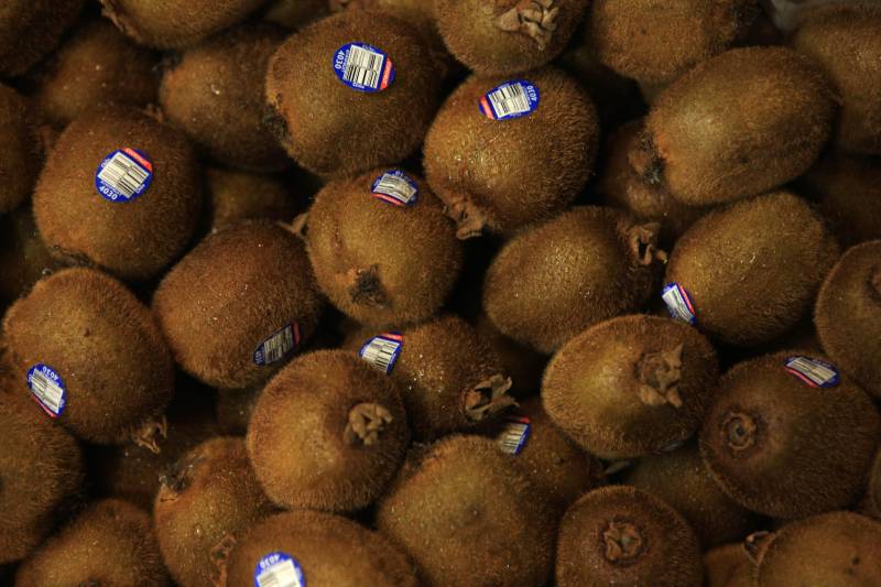 Com a chegada do verão, é importante reforçar o consumo de frutas para a absorção de nutrientes importantes e também para o combate à desidratação. Como toda a estação, existem as frutas da época, que, por conta da oferta, costumam ficar mais baratas. Uma das opções para a compra de frutas da estação é a Central de Abastecimento do Pará (Ceasa).
FOTO: RODOLFO OLIVEIRA / AG. PARÁ
DATA: 09.07.2018
BELÉM - PARÁ <div class='credito_fotos'>Foto: Rodolfo Oliveira/Ag. Pará | <a href='/midias/2018/originais/4a22c10a-acb9-41b7-ba5b-479c365b15bd.jpg' download><i class='fa-solid fa-download'></i> Download</a></div>