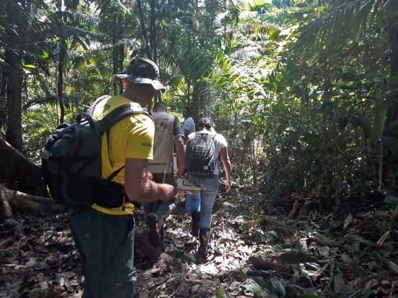 Representantes da Associação Brasileira de Turismo de Aventura (Abeta) e das empresas de esportes de aventura Amazônia Aventura e Nós na Trilha fizeram um famtur pelo Refúgio de Vida Silvestre Metrópole da Amazônia (Refúgio Metrópole), na manhã de quinta-feira (8). O passeio (foto), conduzido por técnicos do Instituto de Desenvolvimento Florestal e da Biodiversidade (Ideflor-bio), visou apresentar às entidades algumas das riquezas turísticas da comunidade de Santo Amaro, localizada no município de Benevides, dentro do território do Refúgio. Nos últimos meses, o Ideflor-bio contribui com a implantação de um roteiro turístico nas terras de Eliane e Rosinaldo Reis, que já moram no Santo Amaro há mais de 30 anos. O roteiro conta com trilha ecológica, na qual é possível encontrar diversas espécies de animais e plantas, como as árvores de paxiúba e uma samaumeira.
FOTO: ASCOM / IDEFLOR-BIO
DATA: 10.11.2018
BELÉM - PARÁ <div class='credito_fotos'>Foto: Ascom Ideflor-Bio | <a href='/midias/2018/originais/4a3d8876-b6c4-40fa-9d2c-57bb74c1301a.jpg' download><i class='fa-solid fa-download'></i> Download</a></div>