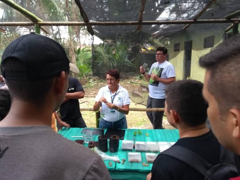 Um curso sobre beneficiamento e produção de mudas foi oferecido na manhã desta quarta-feira (06), pela direção do Parque Ambiental de Ananindeua Antônio Danúbio, para estudantes de faculdades e universidades da Região Metropolitana de Belém. O curso (foto) foi ministrado pela engenheira agrônoma Laura Dias, do Instituto de Desenvolvimento Florestal e da Biodiversidade (Ideflor-bio), durante a Semana do Meio Ambiente. Participaram 25 alunos de várias instituições, como Universidade Federal do Pará (UFPA), Faculdade Pan-Amazônica, Faculdade Metropolitana da Amazônia e Escola Técnica Rural Juscelino Kubitschek. Os participantes tiveram aulas teóricas e práticas sobre os diversos processos da produção de mudas, desde a preparação das sementes até o plantio.
FOTO: ASCOM / IDEFLOR-BIO
DATA: 06.06.2018
BELÉM - PARÁ <div class='credito_fotos'>Foto: ASCOM / IDEFLOR-BIO | <a href='/midias/2018/originais/4b6b8024-51f1-4c47-b194-755c3c0558e5.jpg' download><i class='fa-solid fa-download'></i> Download</a></div>