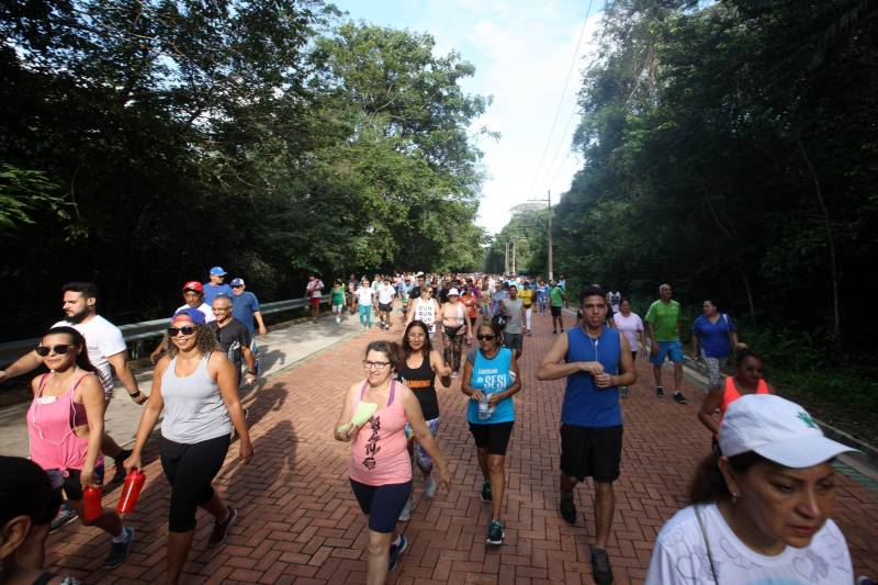 Uma reabertura feita a milhares de mãos. A fita inaugural colocada no inicio da trilha principal do Parque do Utinga foi rompida por mais de cinco mil pessoas ansiosas pelo inicio da caminhada, marcando o segundo dia da programação de reabertura do mais novo espaço paraense de lazer e interatividade com a natureza.
FOTO: SIDNEY OLIVEIRA / AG. PARÁ
DATA: 17.03.2018
BELÉM - PARÁ <div class='credito_fotos'>Foto: Sidney Oliveira/Ag. Pará | <a href='/midias/2018/originais/4e6e4f9e-9b25-4bd9-a6d4-a9421acebaeb.jpg' download><i class='fa-solid fa-download'></i> Download</a></div>