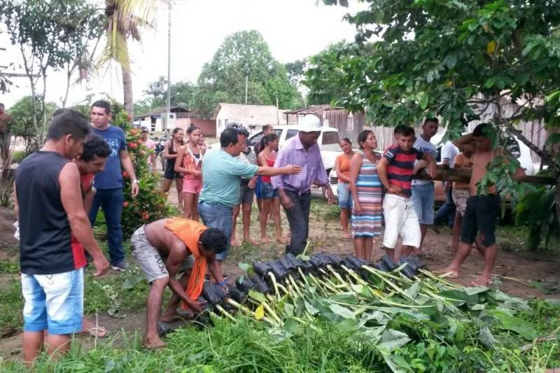 A representação regional da Secretaria de Estado de Desenvolvimento Agropecuário e da Pesca (Sedap) realizou, nesta quarta feira (21), a entrega de mudas cítricas - laranja e limão - a produtores rurais de Santarém, na região Oeste do Pará. No início deste mês, a Sedap, em parceria com instituições e entidades, distribuiu mudas de bananas a agricultores da região do Lago Grande, no interior de Santarém.
FOTO: SAMUEL ALVARENGA / SECOM
DATA: 21.02.2018
SANTARÉM - PARÁ <div class='credito_fotos'>Foto: Samuel Alvarenga / Secom | <a href='/midias/2018/originais/50b2f8f9-5722-4329-8b87-f16f01751e7c.jpg' download><i class='fa-solid fa-download'></i> Download</a></div>