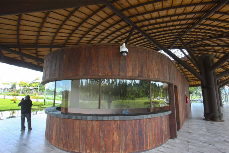 Bastante aguardado, o novo Parque Estadual do Utinga (PEUt) será reaberto ao público pelo Governo do Estado nos próximos dias 16 e 17 de março. Os serviços do mais importante espaço de preservação e estudo da biodiversidade dentro da Região Metropolitana de Belém serão oferecidos em caráter experimental. Na sexta-feira, a partir das 16h30, serão realizadas apresentações artísticas, com o Boi Veludinho, crianças do Pro Paz e a premiada Orquestra Sinfônica do Theatro da Paz. A apresentação será em um espaço ao ar livre e não será necessária a retirada de ingressos, por esse motivo, a recomendação é que o público chegue cedo, porque a entrada será fechada quando o espaço estiver lotado. No sábado, será realizada uma grande caminhada, a partir das 8 horas, com paradas para informações educativas sobre a fauna, flora e sobre os novos espaços. Por conta da grande quantidade de pessoas, incluindo crianças e idosos, o Corpo de Bombeiros recomendou e, a organização do evento acatou, a necessidade de se evitar durante a manhã do sábado o trânsito de veículos sobre rodas, como carros, bicicletas, skates e patins. Depois das 12 horas e durante todo o funcionamento do parque, a entrada e o uso por praticantes desta modalidade está completamente liberada no Parque. No domingo, o parque funciona normalmente ao público no horário de 5h30 às 17h, assim como nos outros dias, de segunda a segunda.
FOTO: IGOR BRANDÃO / AG PARÁ
DATA: 11.032018
BELÉM - PARÁ <div class='credito_fotos'>Foto: IGOR BRANDÃO / AG. PARÁ | <a href='/midias/2018/originais/510d340f-86eb-49f4-9a97-4d042bbdb866.jpg' download><i class='fa-solid fa-download'></i> Download</a></div>