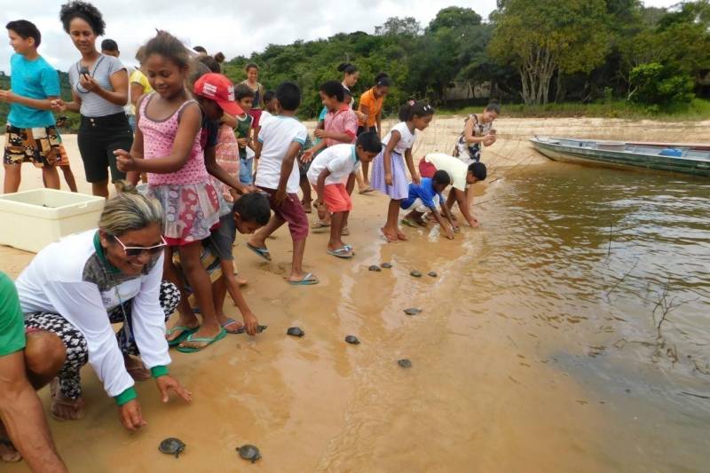 Mais de 2200 filhotes de tracajás e de tartarugas-da-amazônia foram soltos à beira do rio Araguaia na primeira semana de maio. A soltura foi realizada pela Gerência da Região Administrativa do Araguaia (GRA) do Instituto de Desenvolvimento Florestal e da Biodiversidade (Ideflor-bio), em parceira com o Instituto Ambiental Xambioá (IAX), no município de São Geraldo do Araguaia, no sudeste do Pará, e representou cerca 52% dos ovos de quelônios que foram resgatados em ações das instituições em 2017.
FOTO: ASCOM IDEFLOR-BIO
DATA: 08.05.2018
SÃO GERALDO DO ARAGUAIA - PARÁ <div class='credito_fotos'>Foto: ASCOM SEMAS | <a href='/midias/2018/originais/519f04b5-9799-497c-8c52-9798d2b2b371.jpg' download><i class='fa-solid fa-download'></i> Download</a></div>