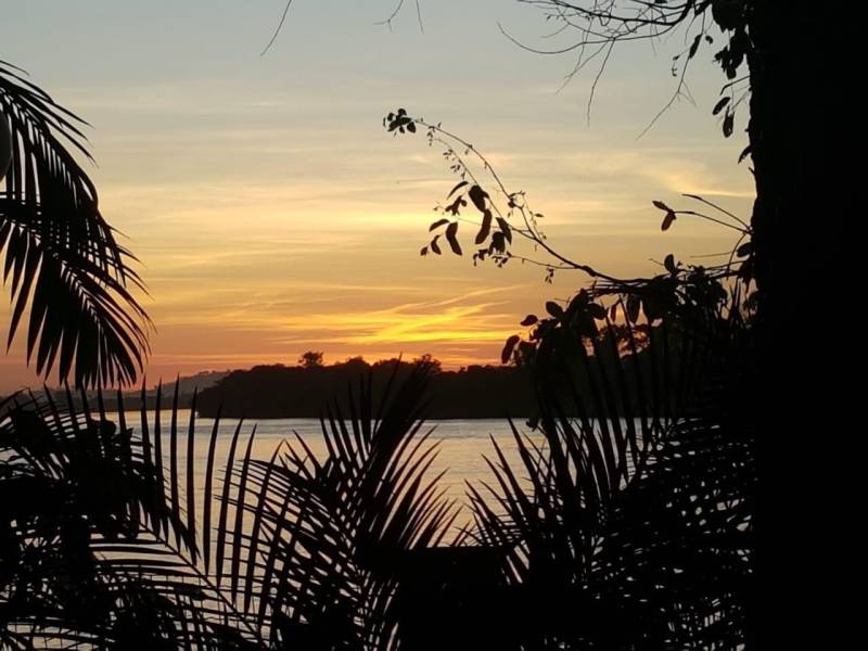 Técnicos das Secretarias Estaduais de Municípios Sustentáveis (Semsu) e de Gestão Estratégica (Seegest) estão no município de São Félix do Xingu (foto) para avaliar e alinhar as ações que estão sendo realizadas na implementação do projeto piloto dos Municípios Emblemáticos. A reunião com a equipe municipal foi realizada nesta terça-feira, 05, no auditório da Secretaria Municipal de Meio Ambiente (Semmas). O projeto de Município Emblemático congrega um reforço de ações previstas no Programa Municípios Sustentáveis (PMS) a fim de gerar cases que possam ser replicados em outras localidades. As ações foram definidas em parceria com as secretarias municipais que apontaram necessidades e propostas de desenvolvimento nos eixos social, ambiental e econômico, definidos a partir do workshop realizados em dezembro do ano passado, com os agentes realizadores do Estado e da Prefeitura Municipal.

FOTO: ASCOM / SEMSU
DATA: 05.06.2018
SÃO FÉLIX DO XINGU - PARÁ <div class='credito_fotos'>Foto: DANI FILGUEIRAS / ASCOM SEMSU   |   <a href='/midias/2018/originais/51f2551d-5755-456d-ba6d-ed670de18584.jpg' download><i class='fa-solid fa-download'></i> Download</a></div>