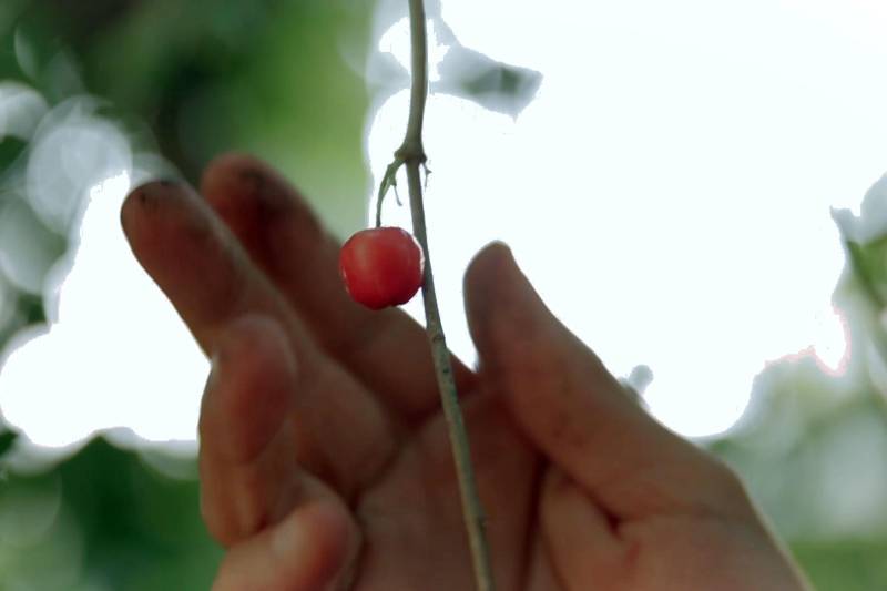 O programa 'Compartilhar', da TV Cultura do Pará, exibe seis episódios inéditos a partir desta quarta-feira (21), 19h. A novidade é que a atração ganha reprise aos domingos, 14h30. Apresentado pela jornalista Adelaide Oliveira, com produção de Ana Paula Andrade, o programa tem a missão de mostrar iniciativas e despertar reflexões sobre problemas urbanos e cidadania.
FOTO: DIVULGAÇÃO
DATA: 20.11.2018
BELÉM - PARÁ <div class='credito_fotos'>Foto: REPRODUÇÃO / TV CULTURA | <a href='/midias/2018/originais/529c10a7-cf26-4a1b-8f36-c980a6f6c1c1.jpg' download><i class='fa-solid fa-download'></i> Download</a></div>