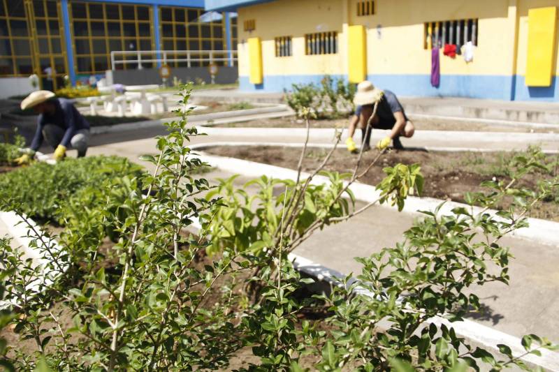 As 14 unidades socioeducativas do Pará promovem a partir desta semana o IV Recreio de Verão Socioeducativo (foto), uma iniciativa que reúne atividades de arte, cultura, esporte e lazer para adolescentes e jovens em privação de liberdade, potencializando as atividades pedagógicas no mês de julho, durante o recesso escolar. Em Marabá, no sudeste paraense, arte-educadores e servidores do Centro de Internação do Adolescente Masculino (Ciam-Marabá) realizam uma série de atividades e oficinas desde esta terça-feira (10). Entre essas atividades estão jogos de futebol, futsal e vôlei, além de oficina de pipa e pintura, artesanato, ações socioambientais, teatro e panificação. A coordenadora do complexo esportivo e cultural Apoena, Marta Santos, informou que as oficinas realizadas na unidade de Marabá são uma extensão das atividades já realizadas nas unidades de Belém, com iniciativas que fortaleçam o processo de ressocialização dos jovens assistidos. “Aqui, em Marabá, estamos potencializando as atividades ao longo da semana, culminando com uma apresentação especial na sexta-feira (13), fruto das atividades realizadas ao longo da semana. Contamos com 57 adolescentes, e atividades sendo realizadas ao longo de todo o mês, um trabalho que eles gostam e se identificam”, afirmou a coordenadora.
FOTO: FRANKLIN SALVADOR / ASCOM FASEPA
DATA: 10.07.2018
BELÉM - PARÁ <div class='credito_fotos'>Foto: FRANKLIN SALVADOR / ASCOM FASEPA | <a href='/midias/2018/originais/5300d8e8-5d5e-4feb-b888-9154a38e46db.jpg' download><i class='fa-solid fa-download'></i> Download</a></div>