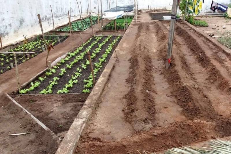 O Centro de Recuperação Agrícola Silvio Hall de Moura (CRASHM), localizado em Santarém, na região Oeste do Para, e ligado à Superintendência do Sistema Penitenciário do estado do Pará (Susipe), desenvolve projetos vinculados ao cultivo de hortaliças e plantas medicinais, tendo como público-alvo presos dos regimes fechado e semiaberto.

FOTO: ASCOM CRGBA
DATA: 26.11.2018
SANTARÉM - PARÁ <div class='credito_fotos'>Foto: ASCOM CRGSP   |   <a href='/midias/2018/originais/531a92e7-d0f2-4153-af91-3995f8630250.jpg' download><i class='fa-solid fa-download'></i> Download</a></div>