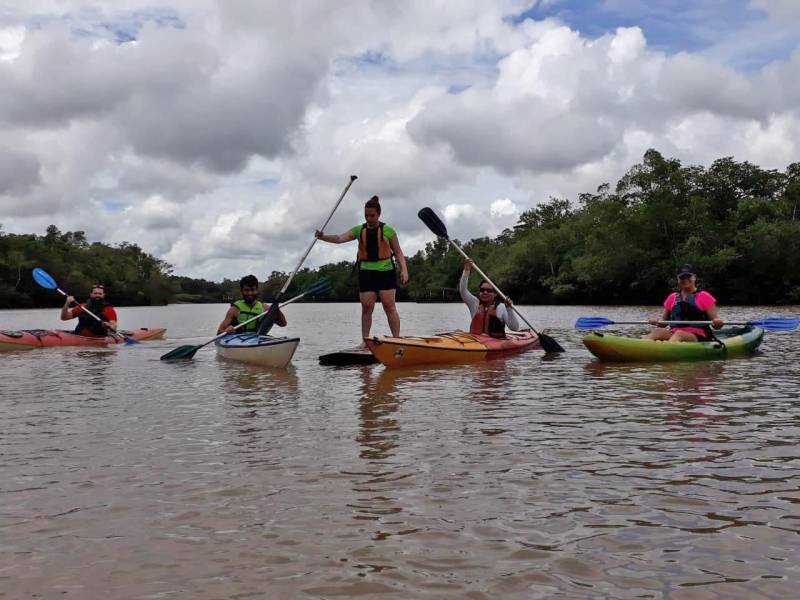 Com uma localização privilegiada, às margens da Baia do Guajará, o Centro Integrado de Inclusão e Reabilitação (CIIR) disponibilizará a partir de janeiro de 2019, a modalidade de canoagem e stand-up paddle (foto), como ação inovadora e inclusiva na reabilitação de Pessoas com Deficiência (PcD). A ação faz parte do projeto social do CIIR. “Meninos do Rio”, inspirado em projetos que já realizam atividades terapêuticas e de inclusão na água, entre eles o  “Separará Caiaque & Sup”, coordenado por  Pedro Paulo Sousa, na cidade de Benevídes (distante 33Km de Belém). O Stand Up  Paddle ou SUP é uma modalidade onde originalmente se praticava o remo em  prancha em pé e com remo de pá larga para se locomoverem, hoje se utiliza a prancha de outras maneiras – sentado ou deitado, e, a canoagem em caiaque ou canoa havaiana, são esportes que podem ser praticados individualmente ou de forma coletiva. Os usuários envolvidos no projeto do CIIR serão selecionados pela equipe multiprofissional do CIIR, que indicará a necessidade da atividade, assim como também avaliará a disponibilidade para participar dessas modalidades esportivas.

FOTO: ASCOM / INDSH
DATA: 07.12.2018
BELÉM - PARÁ <div class='credito_fotos'>Foto: ASCOM / INDSH   |   <a href='/midias/2018/originais/54906501-a402-4e9d-be2c-9b282ee74f85.jpg' download><i class='fa-solid fa-download'></i> Download</a></div>